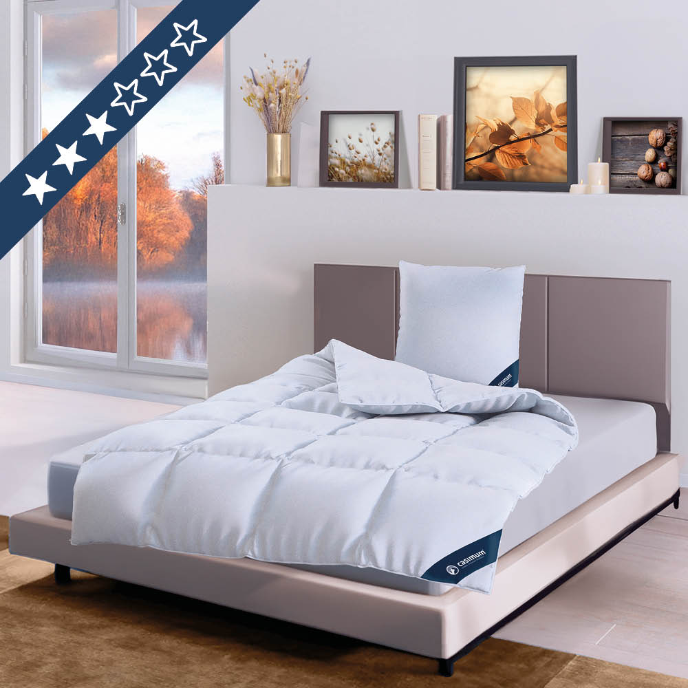 4-Jahreszeiten Daunendecke »COMFORT« – 60% Daunen, 40% Federn, Klasse 1, Downpass, hergestellt in Deutschland