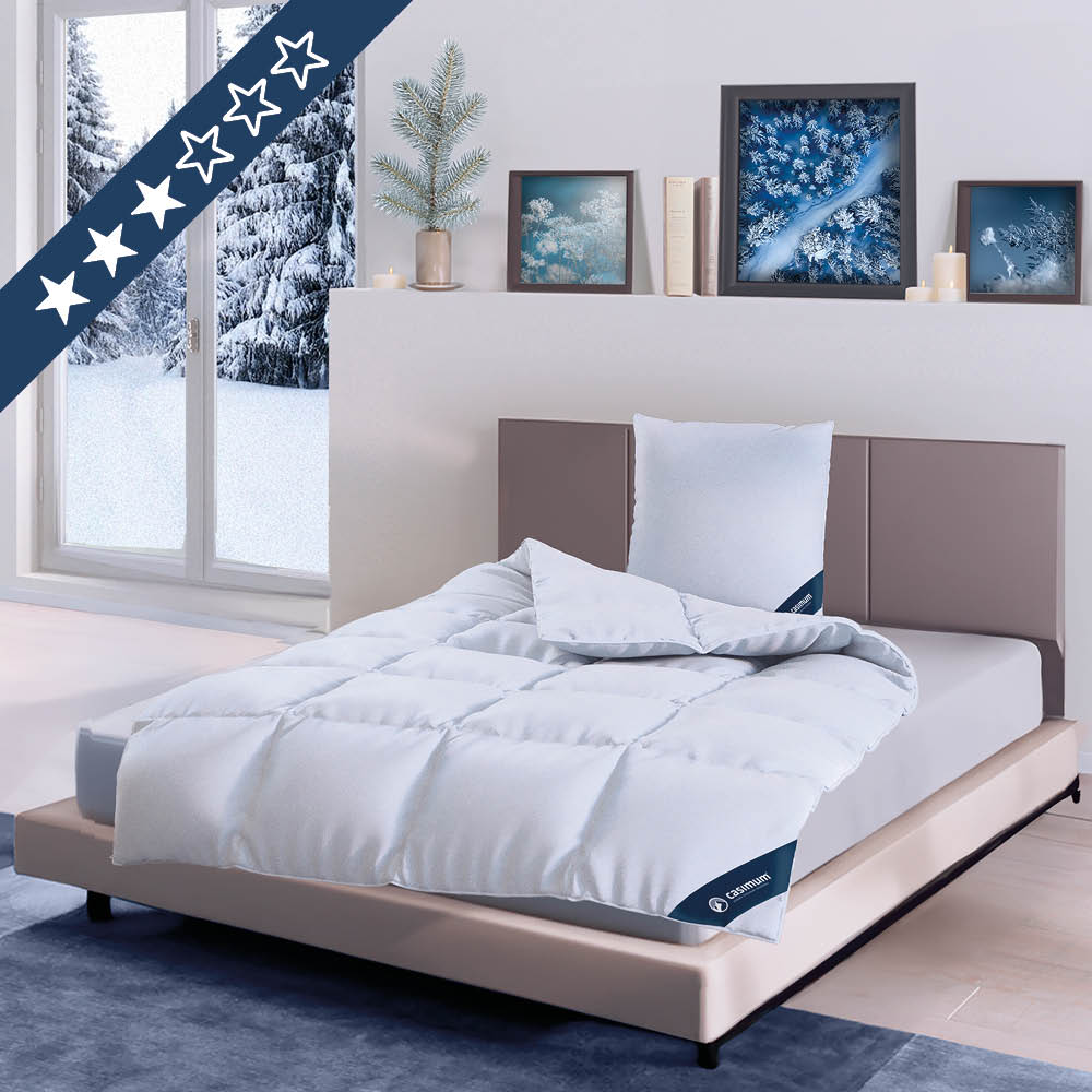Winterdaunendecke »COMFORT« – Warm, 60% Daunen, 40%, Klasse 1, Downpass, hergestellt in Deutschland