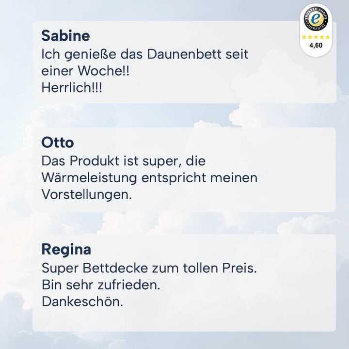 Winterdaunendecke »COMFORT« – Polarwarm, 60% Daunen, 40% Federn, Klasse 1, Downpass, hergestellt in Deutschland