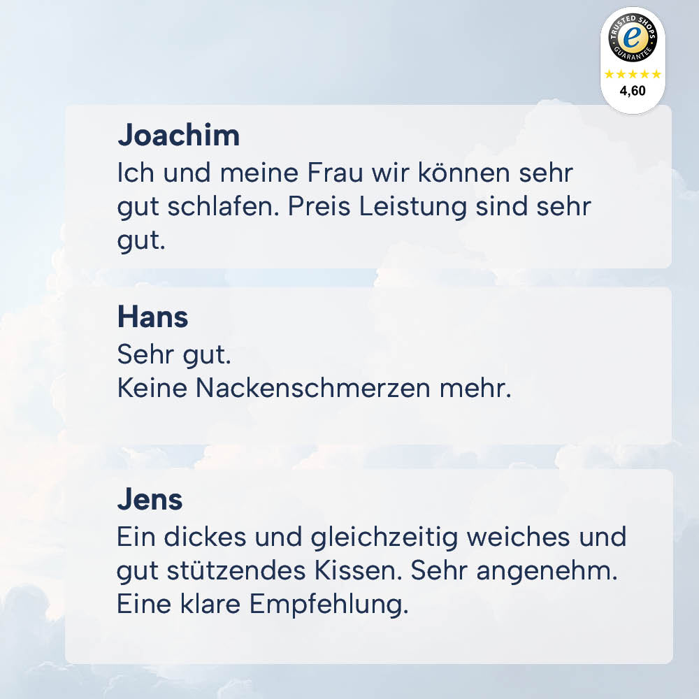 3-Kammer-Daunenkissen »PREMIUM« – 90% Daunen, 10% Federn (Außen), Klasse 1, Downpass, hergestellt in Deutschland